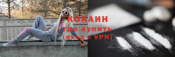 крисы Баксан