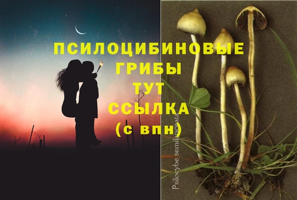 дживик Балабаново