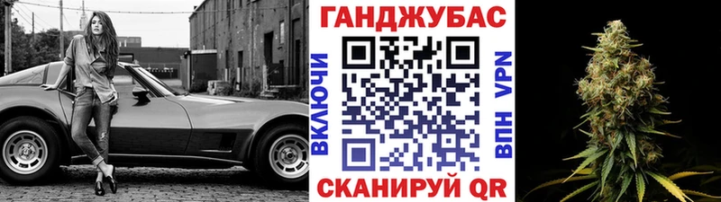 Каннабис сатива  Чудово 